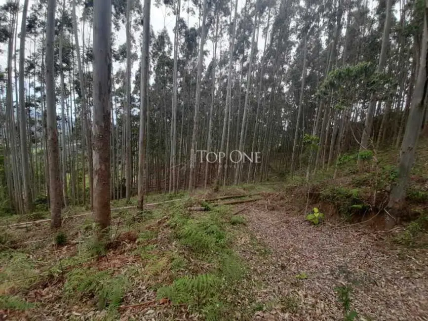 Foto 7 de Sítio / Rancho à venda, 10m2 em Sao Bonifacio - SC