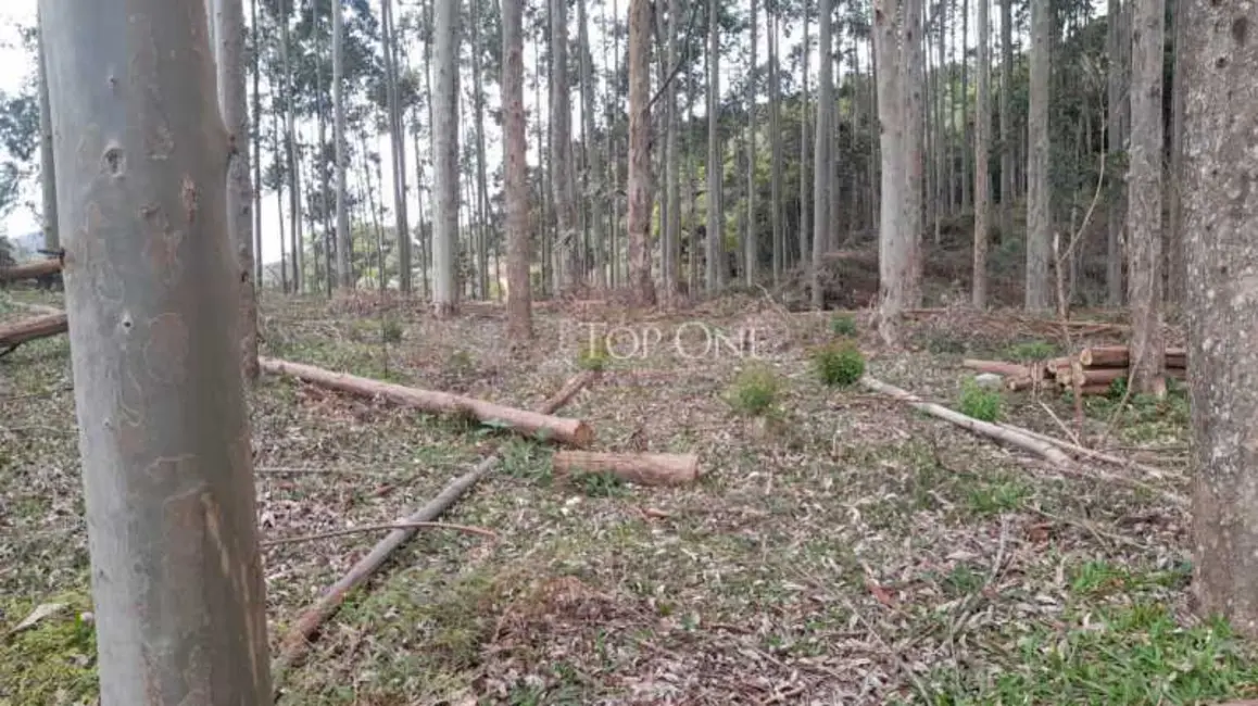 Foto 9 de Sítio / Rancho à venda, 10m2 em Sao Bonifacio - SC