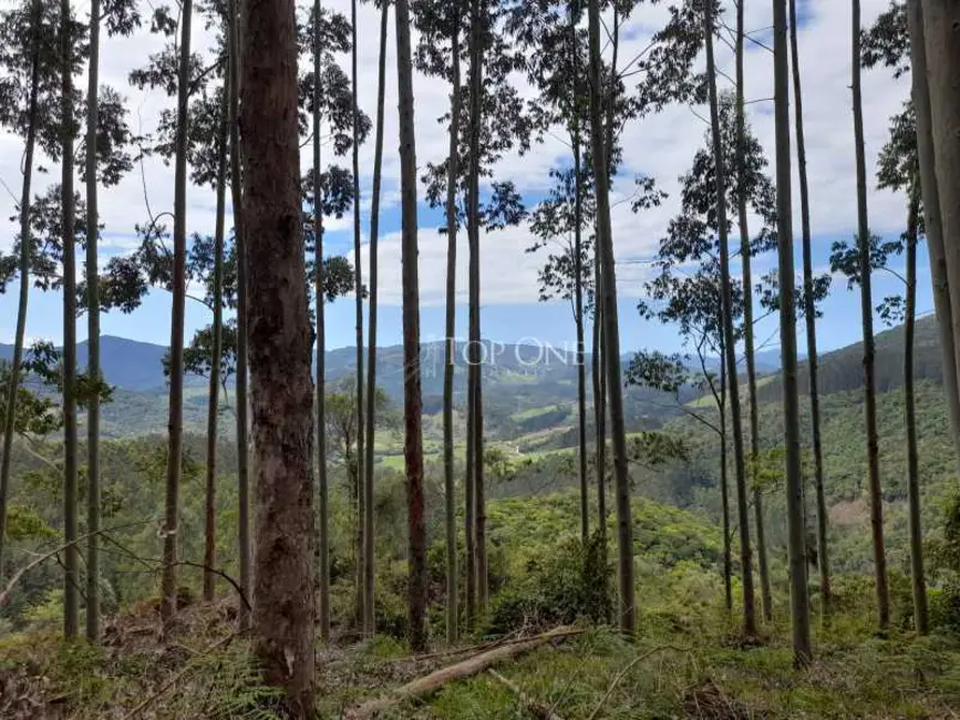 Foto 1 de Sítio / Rancho à venda, 10m2 em Sao Bonifacio - SC