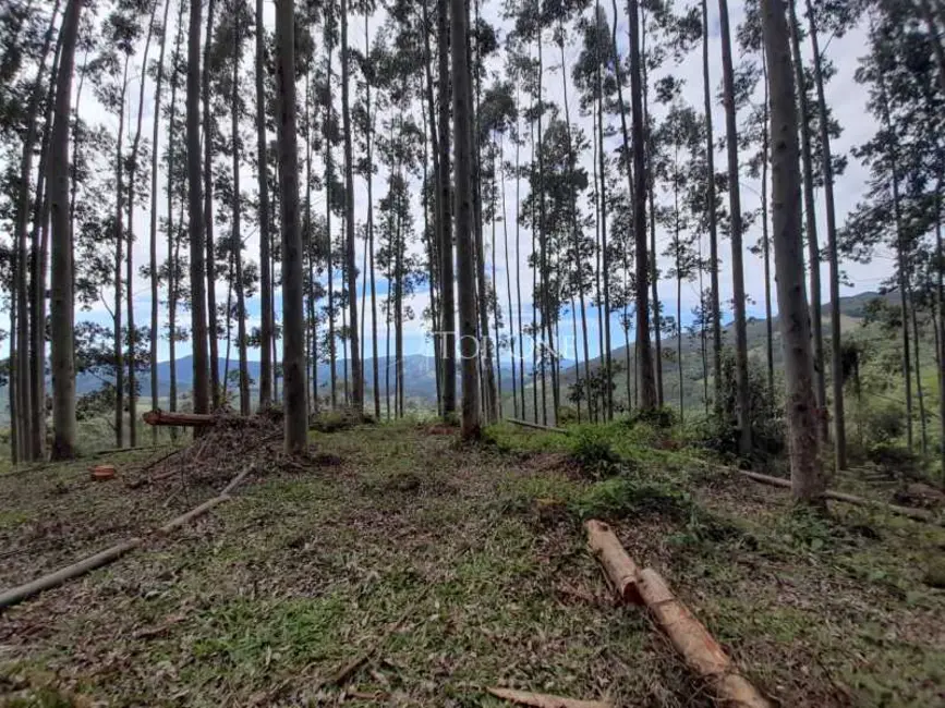 Foto 3 de Sítio / Rancho à venda, 10m2 em Sao Bonifacio - SC