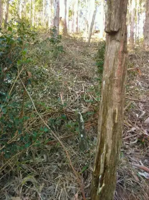 Foto 4 de Sítio / Rancho à venda em Sao Bonifacio - SC