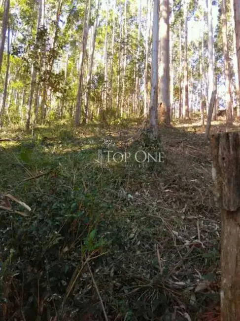 Foto 8 de Sítio / Rancho à venda em Sao Bonifacio - SC