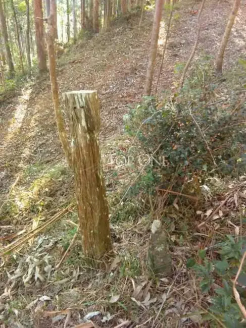 Foto 6 de Sítio / Rancho à venda em Sao Bonifacio - SC