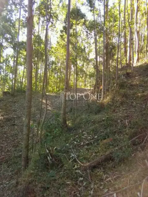 Foto 7 de Sítio / Rancho à venda em Sao Bonifacio - SC