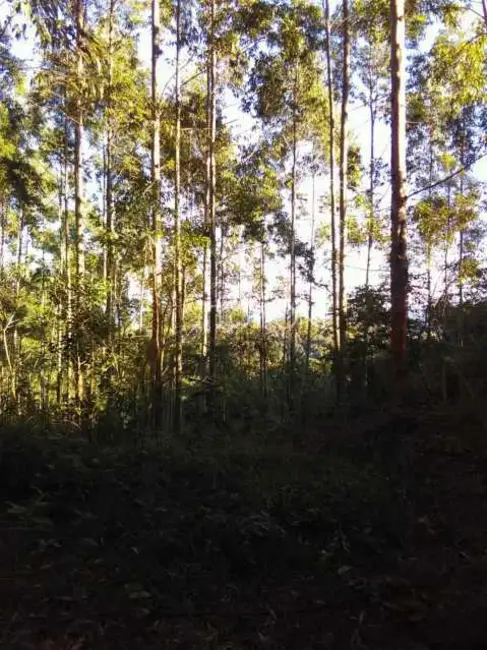 Foto 5 de Sítio / Rancho à venda em Sao Bonifacio - SC