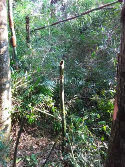 Foto 9 de Sítio / Rancho à venda em Sao Bonifacio - SC