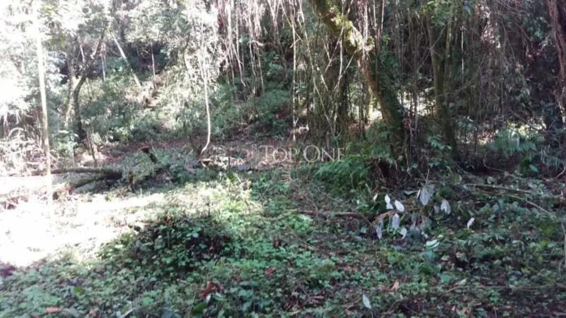 Foto 8 de Sítio / Rancho à venda, 20m2 em Rancho Queimado - SC