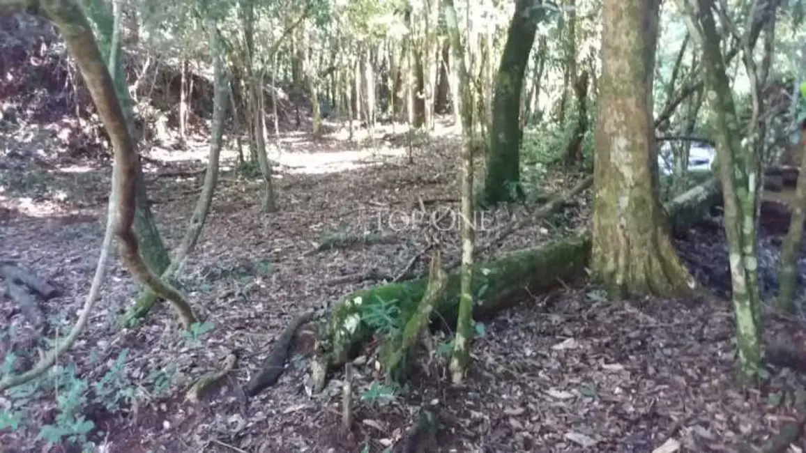 Foto 4 de Sítio / Rancho à venda, 20m2 em Rancho Queimado - SC