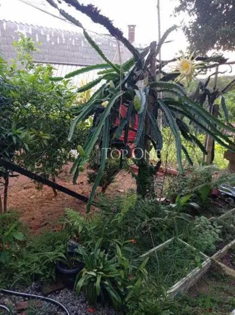 Foto 9 de Casa com 4 quartos à venda, 91m2 em Sao Jose - SC