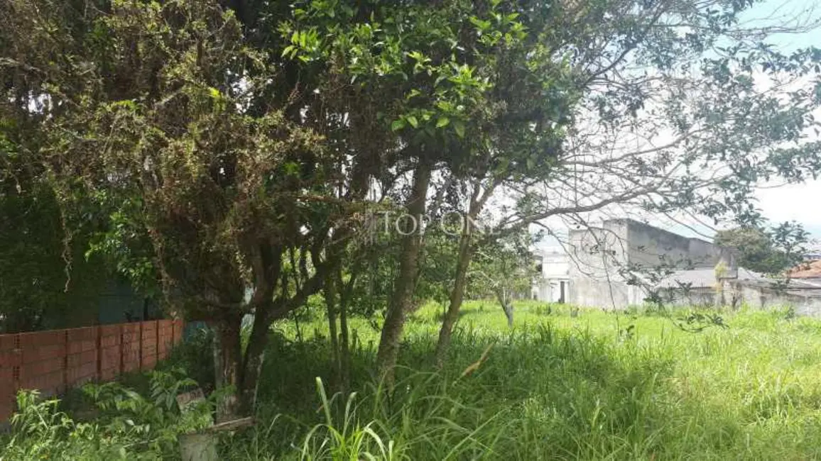 Terreno / Lote à venda em Sao Jose - SC - imagem 6 Foto 6 de Terreno / Lote à venda em Sao Jose - SC