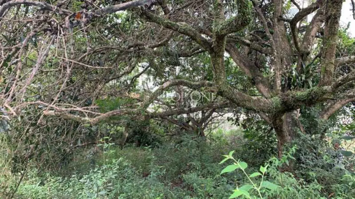 Foto 8 de Terreno / Lote à venda, 2057m2 em Palhoca - SC