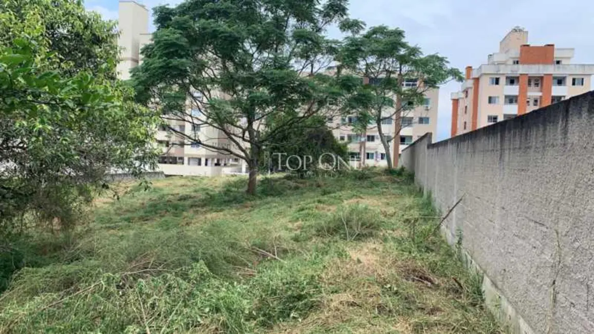 Foto 4 de Terreno / Lote à venda, 2057m2 em Palhoca - SC