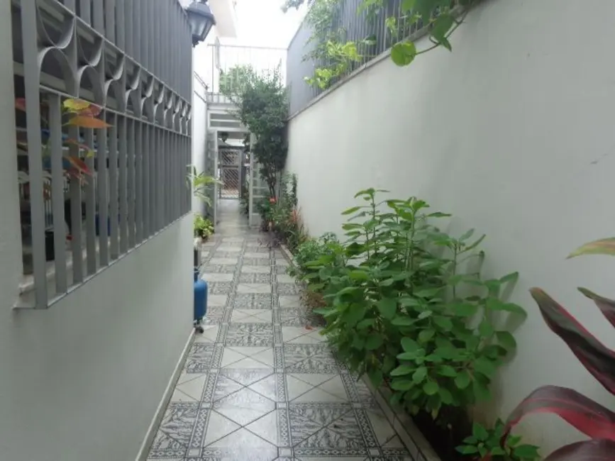 Foto 6 de Casa com 3 quartos à venda, 185m2 em Vila Leopoldina, São Paulo - SP