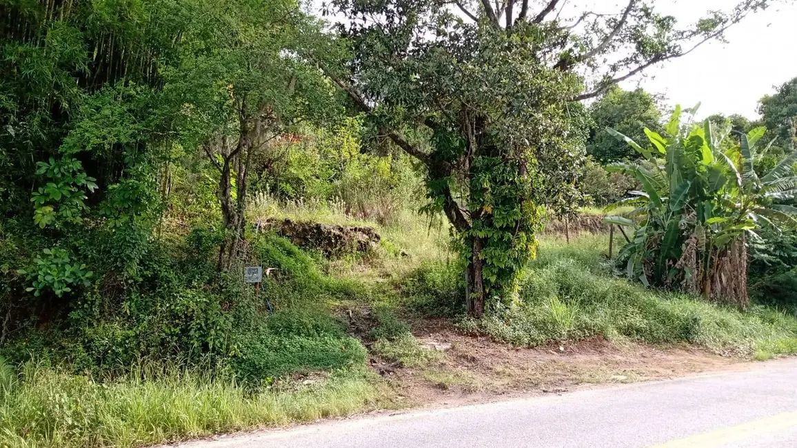 Foto 6 de Terreno / Lote à venda, 1000m2 em Governador Celso Ramos - SC