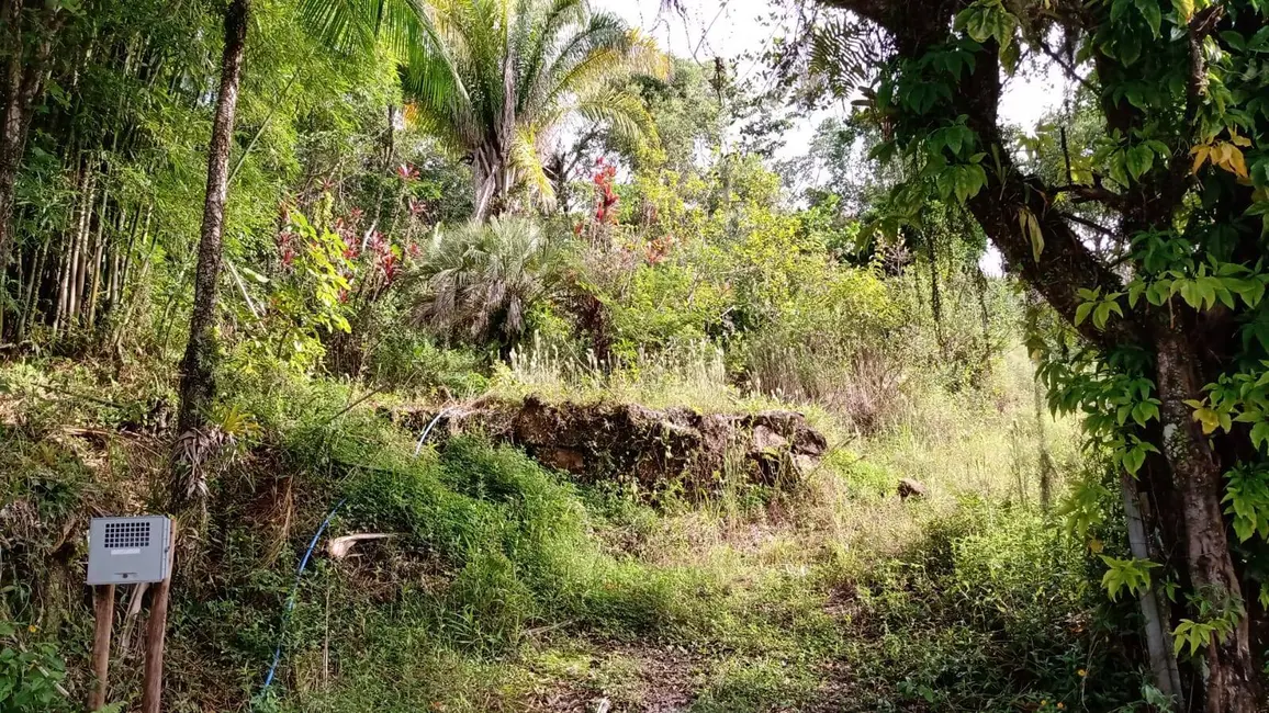 Foto 8 de Terreno / Lote à venda, 1000m2 em Governador Celso Ramos - SC