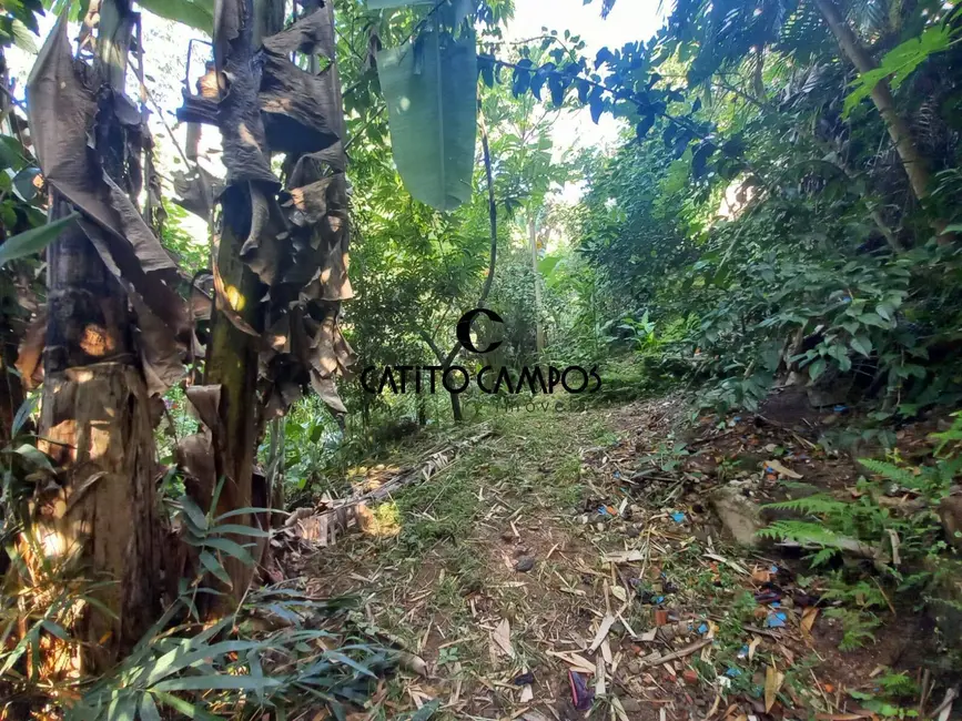 Foto 9 de Casa com 5 quartos à venda, 276m2 em Governador Celso Ramos - SC