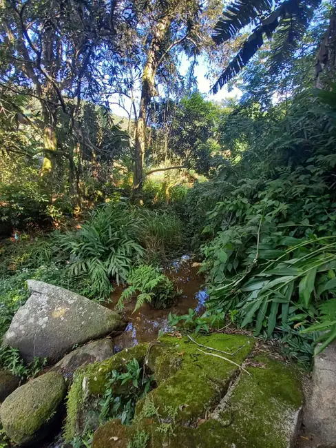 Foto 8 de Casa com 5 quartos à venda, 276m2 em Governador Celso Ramos - SC