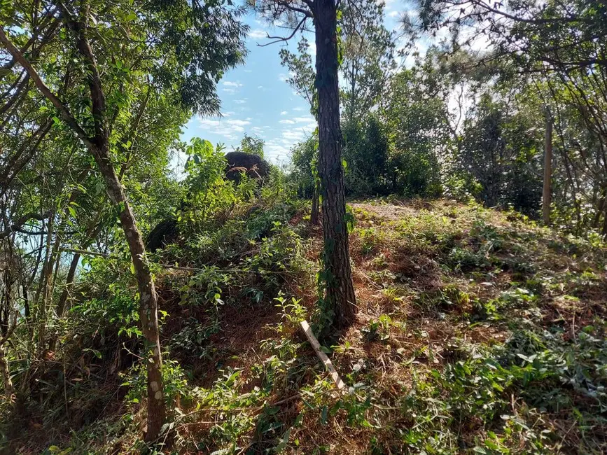 Foto 6 de Terreno / Lote à venda, 4073m2 em Governador Celso Ramos - SC