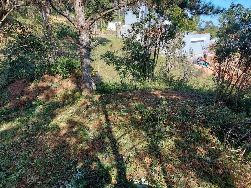 Foto 5 de Terreno / Lote à venda, 4073m2 em Governador Celso Ramos - SC