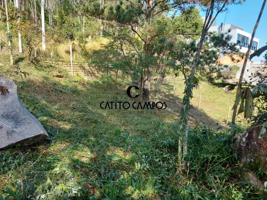 Foto 9 de Terreno / Lote à venda, 4073m2 em Governador Celso Ramos - SC