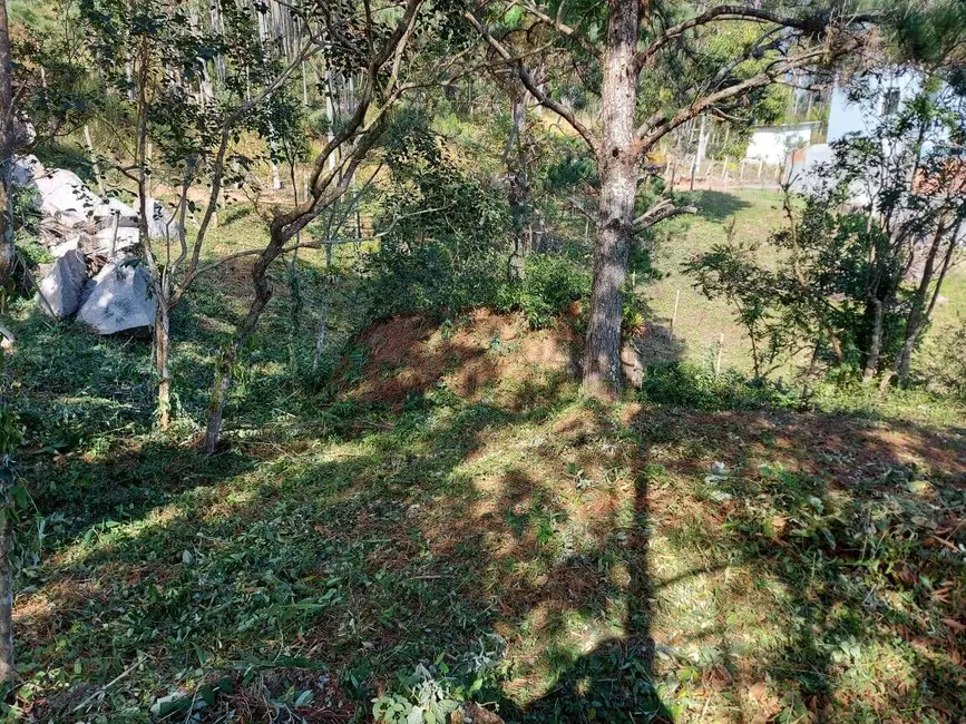 Foto 3 de Terreno / Lote à venda, 4073m2 em Governador Celso Ramos - SC