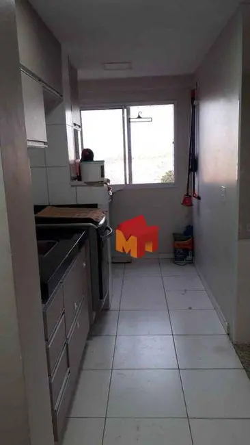 Apartamento com 2 quartos à venda, 53m2 em Jardim Santa Eliza, Americana - SP - imagem 8 Foto 8 de Apartamento com 2 quartos à venda, 53m2 em Jardim Santa Eliza, Americana - SP