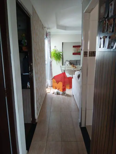 Foto 7 de Apartamento com 2 quartos à venda, 52m2 em Balneário Salto Grande, Americana - SP