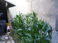 Imagem 14