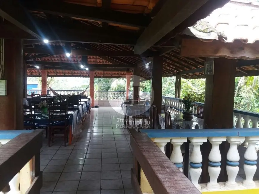 Chácara com 3 quartos à venda, 4900m2 em Sao Lourenco Da Serra - SP - imagem 8 Foto 8 de Chácara com 3 quartos à venda, 4900m2 em Sao Lourenco Da Serra - SP