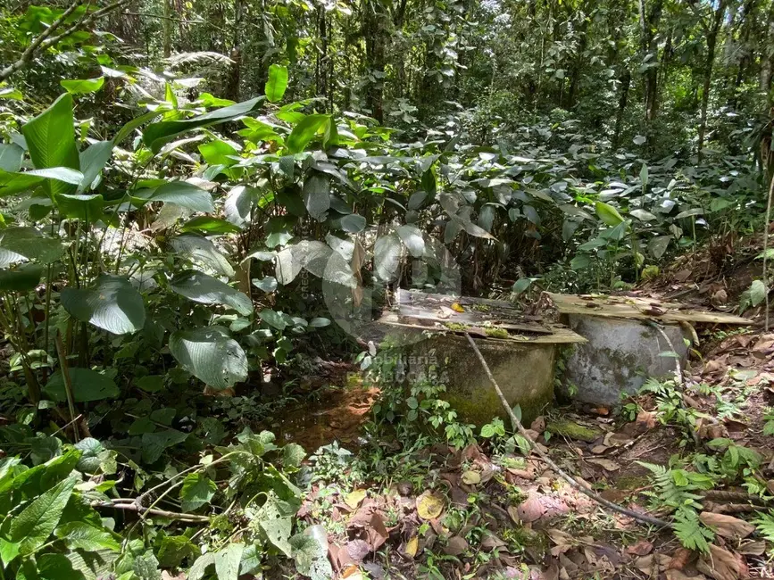 Foto 8 de Chácara com 2 quartos à venda, 12000m2 em Ibiuna - SP