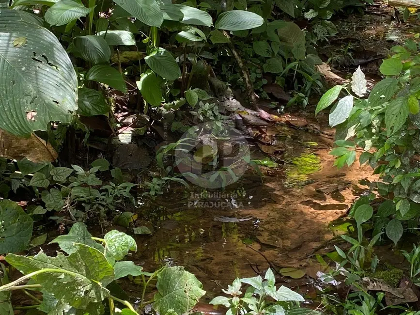 Foto 9 de Chácara com 2 quartos à venda, 12000m2 em Ibiuna - SP