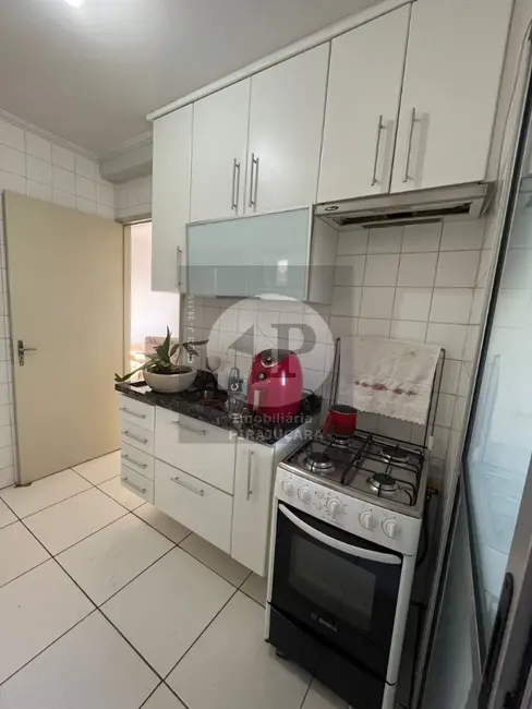 Foto 7 de Apartamento com 2 quartos à venda, 48m2 em Rio Pequeno, São Paulo - SP
