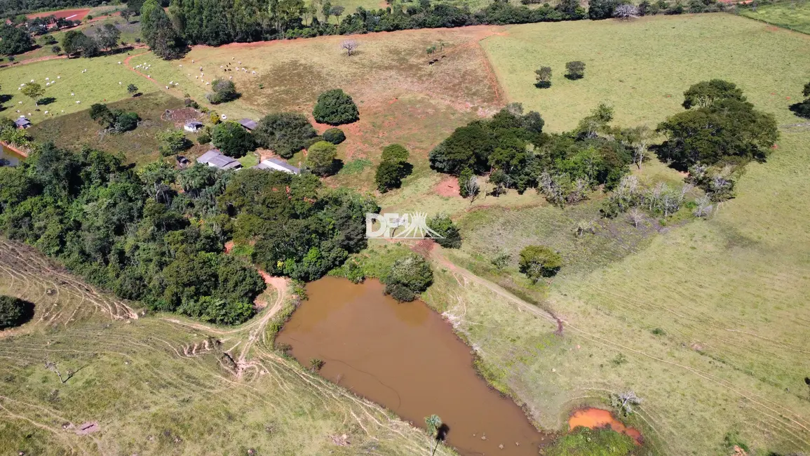 Fazenda / Haras com 6 quartos à venda, 816000m2 em Jardim Goiás, Goiania - GO - imagem 7 Foto 7 de Fazenda / Haras com 6 quartos à venda, 816000m2 em Jardim Goiás, Goiania - GO