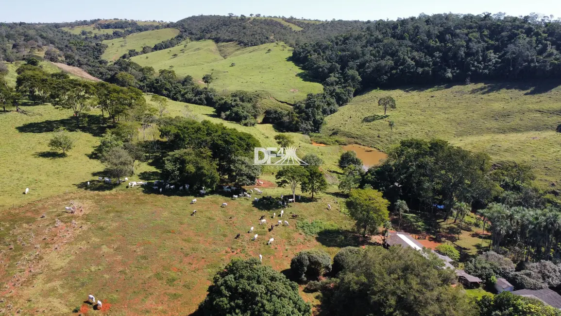 Fazenda / Haras com 6 quartos à venda, 816000m2 em Jardim Goiás, Goiania - GO - imagem 8 Foto 8 de Fazenda / Haras com 6 quartos à venda, 816000m2 em Jardim Goiás, Goiania - GO