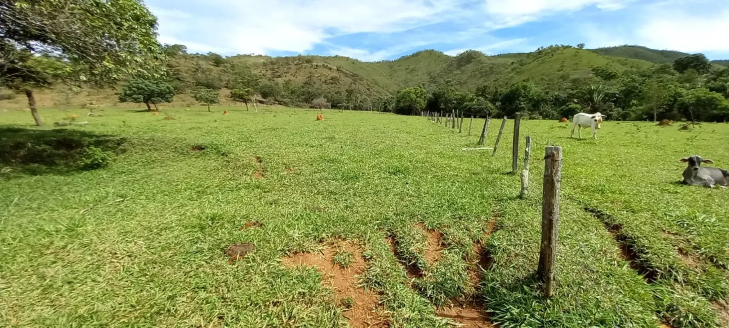 Foto 8 de Sítio / Rancho à venda em Mimoso De Goias - GO