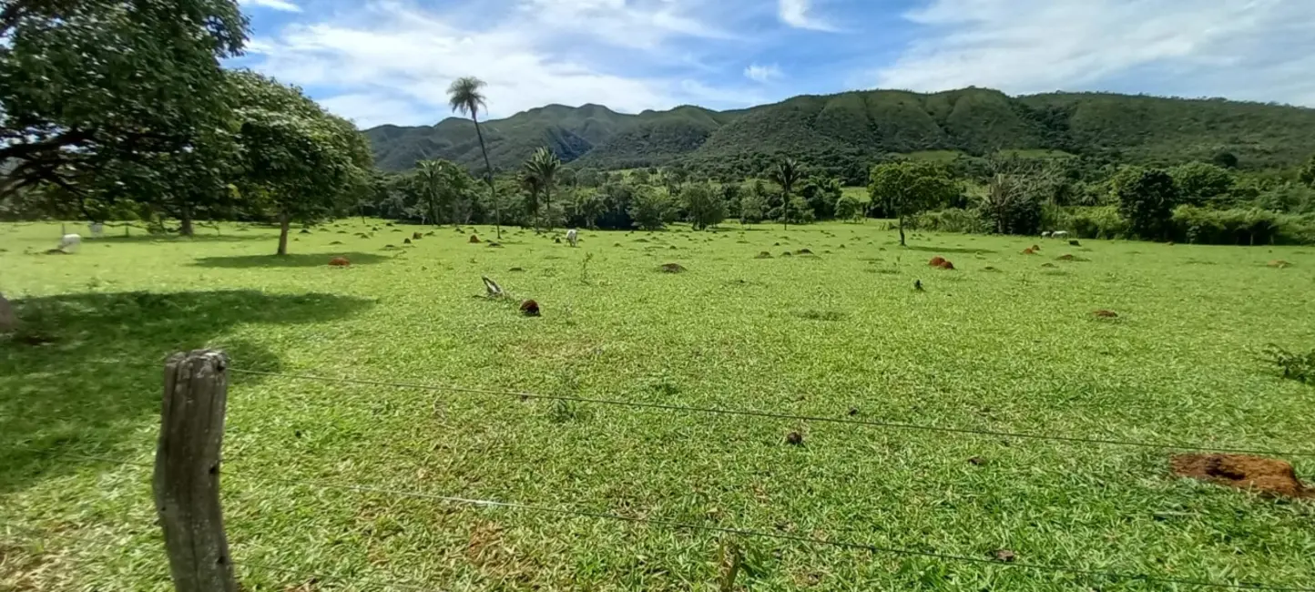 Foto 7 de Sítio / Rancho à venda em Mimoso De Goias - GO