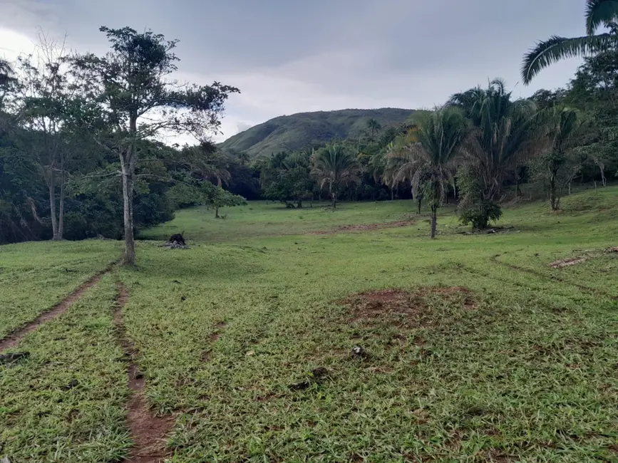 Foto 9 de Sítio / Rancho à venda em Mimoso De Goias - GO