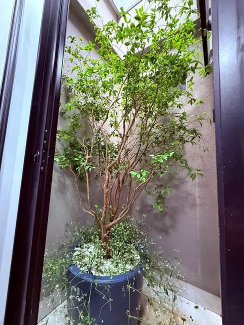 Casa com 3 quartos à venda, 135m2 em Samambaia Sul (Samambaia), Brasilia - DF - imagem 4 Foto 4 de Casa com 3 quartos à venda, 135m2 em Samambaia Sul (Samambaia), Brasilia - DF