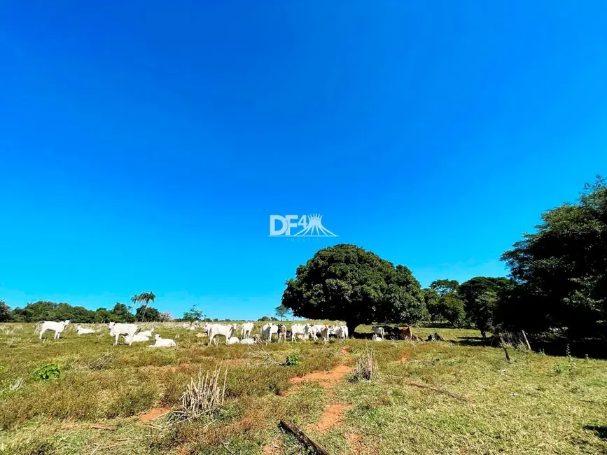 Fazenda / Haras à venda em Alexania - GO - imagem 35 Foto 35 de Fazenda / Haras à venda em Alexania - GO