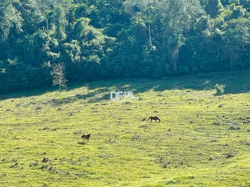 Fazenda / Haras à venda em Alexania - GO - imagem 25 Foto 25 de Fazenda / Haras à venda em Alexania - GO
