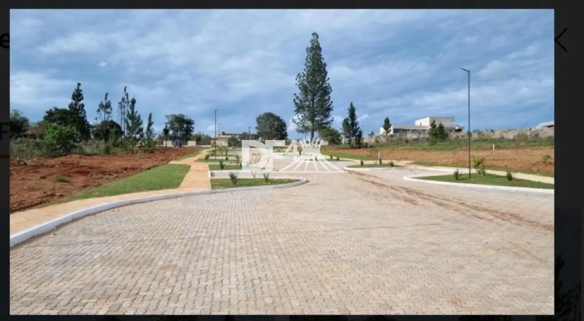 Terreno / Lote à venda, 2500m2 em Park Way, Brasilia - DF - imagem 5 Foto 5 de Terreno / Lote à venda, 2500m2 em Park Way, Brasilia - DF