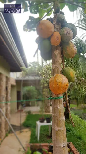 Chácara com 14 quartos à venda, 8330m2 em Dois Córregos, Valinhos - SP - imagem 6 Foto 6 de Chácara com 14 quartos à venda, 8330m2 em Dois Córregos, Valinhos - SP