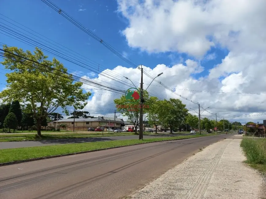 Terreno / Lote à venda, 3785m2 em Canela - RS - imagem 7 Foto 7 de Terreno / Lote à venda, 3785m2 em Canela - RS