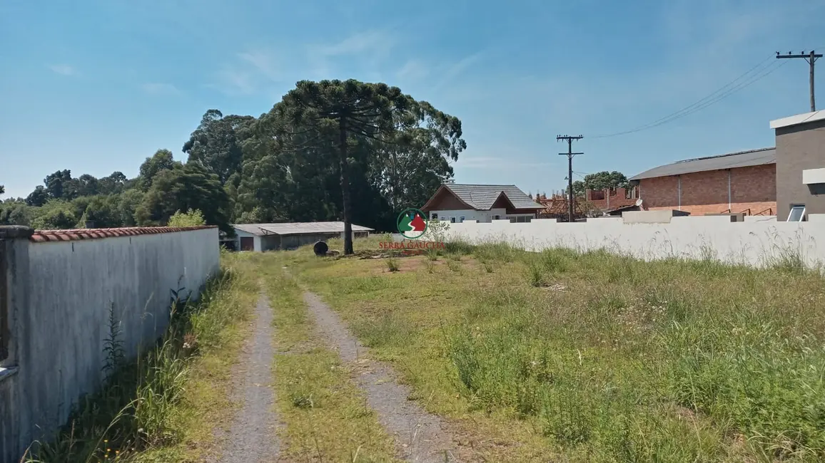 Terreno / Lote à venda, 3785m2 em Canela - RS - imagem 3 Foto 3 de Terreno / Lote à venda, 3785m2 em Canela - RS