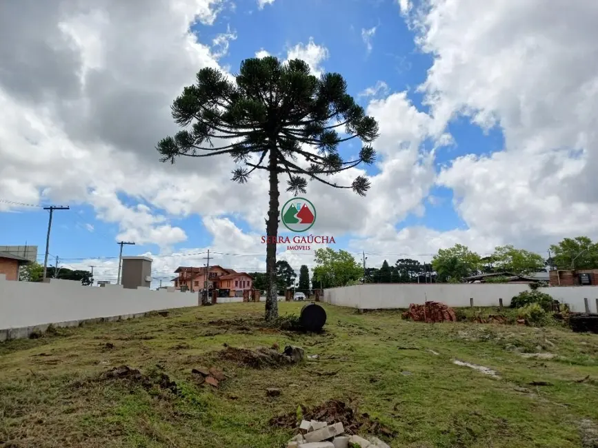 Terreno / Lote à venda, 3785m2 em Canela - RS - imagem 5 Foto 5 de Terreno / Lote à venda, 3785m2 em Canela - RS