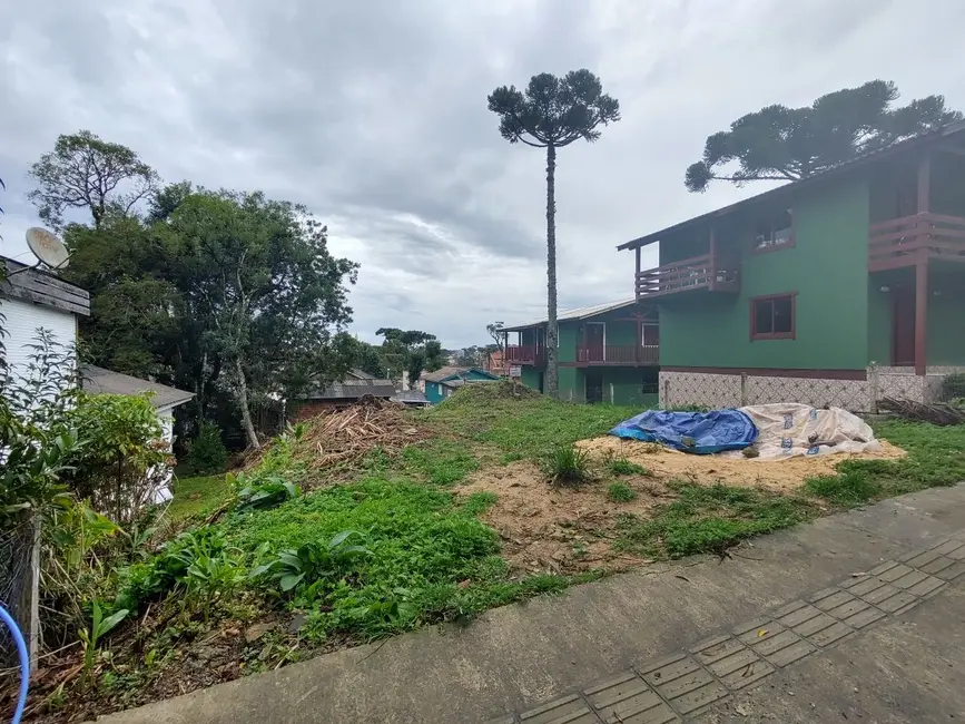 Foto 1 de Terreno / Lote à venda, 348m2 em Canela - RS