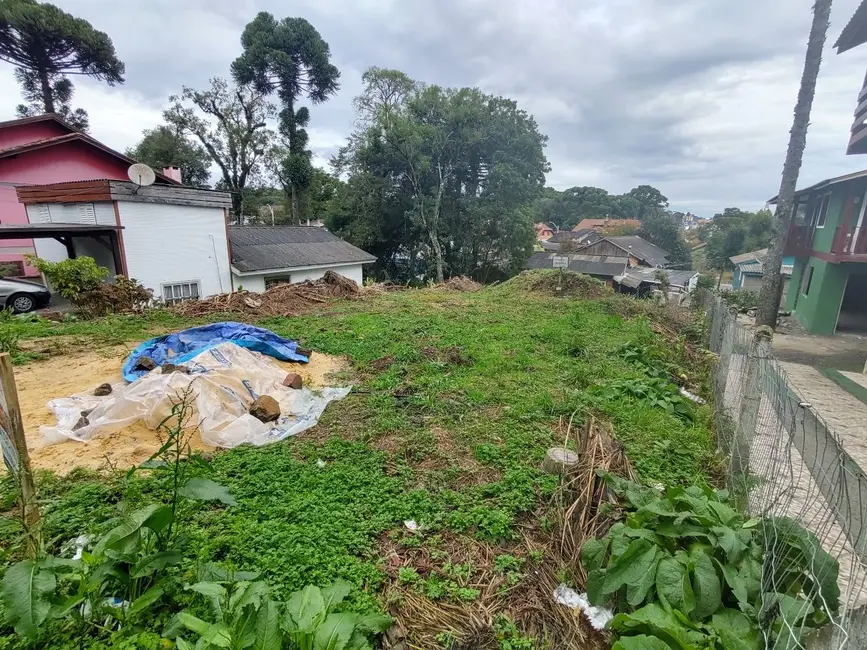 Foto 2 de Terreno / Lote à venda, 348m2 em Canela - RS