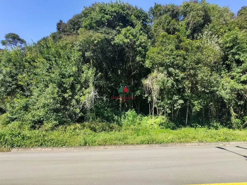 Foto 2 de Terreno / Lote à venda, 800m2 em Canela - RS