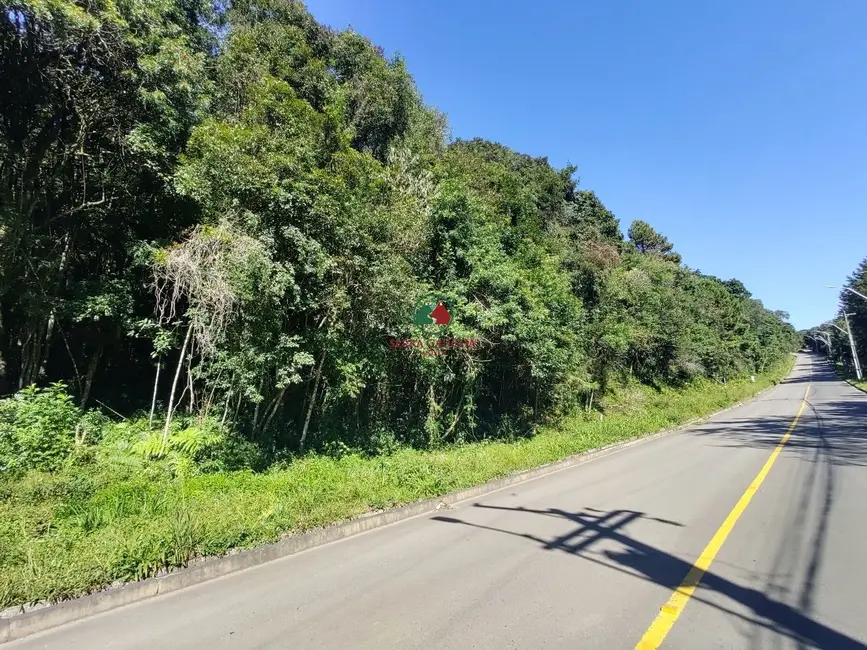 Terreno / Lote à venda, 800m2 em Canela - RS - imagem 4 Foto 4 de Terreno / Lote à venda, 800m2 em Canela - RS