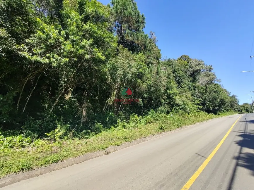 Terreno / Lote à venda, 800m2 em Canela - RS - imagem 3 Foto 3 de Terreno / Lote à venda, 800m2 em Canela - RS